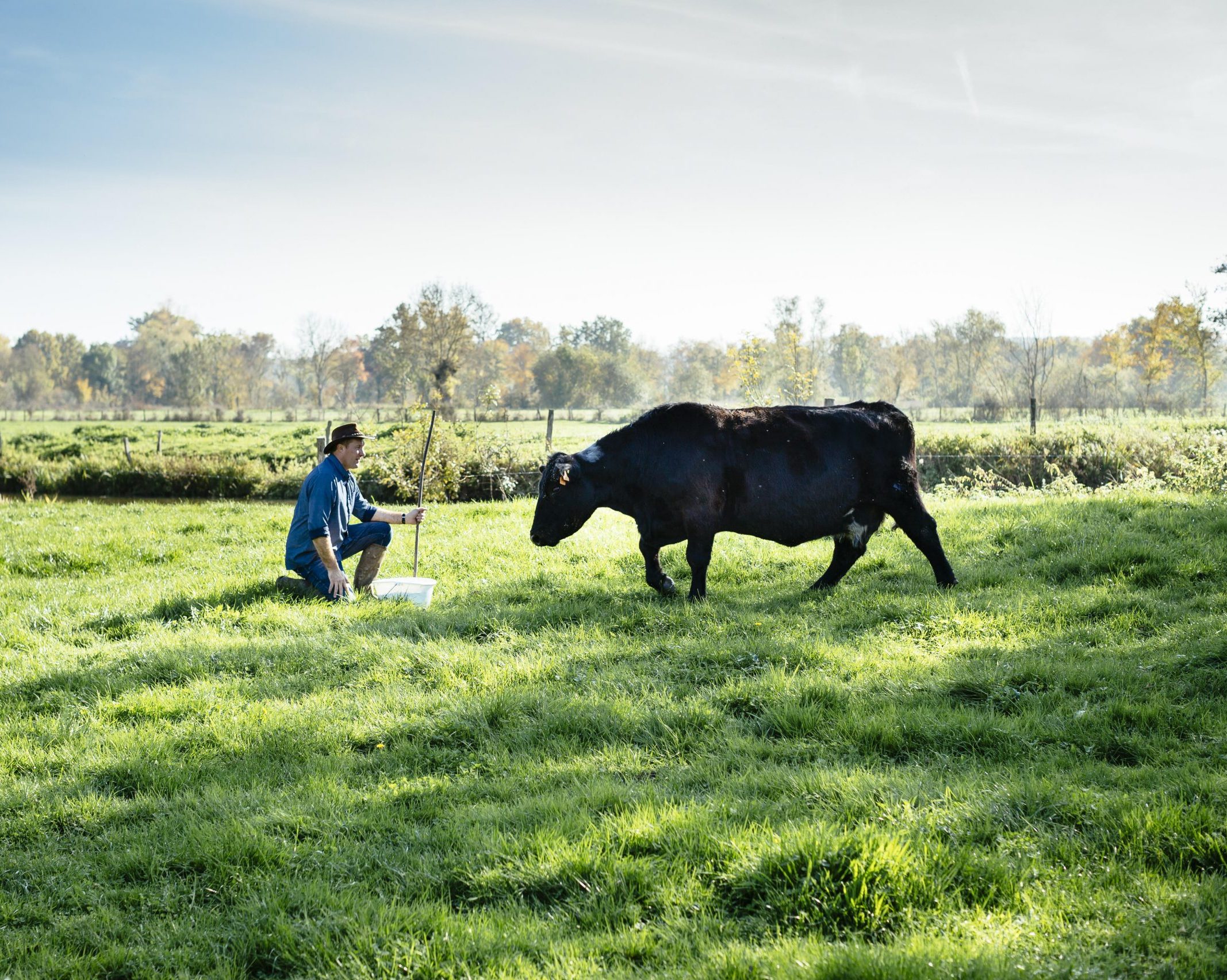 Jérôme est agenouillé face à une vache venant mangé des granulés dans le sceau de Jérôme