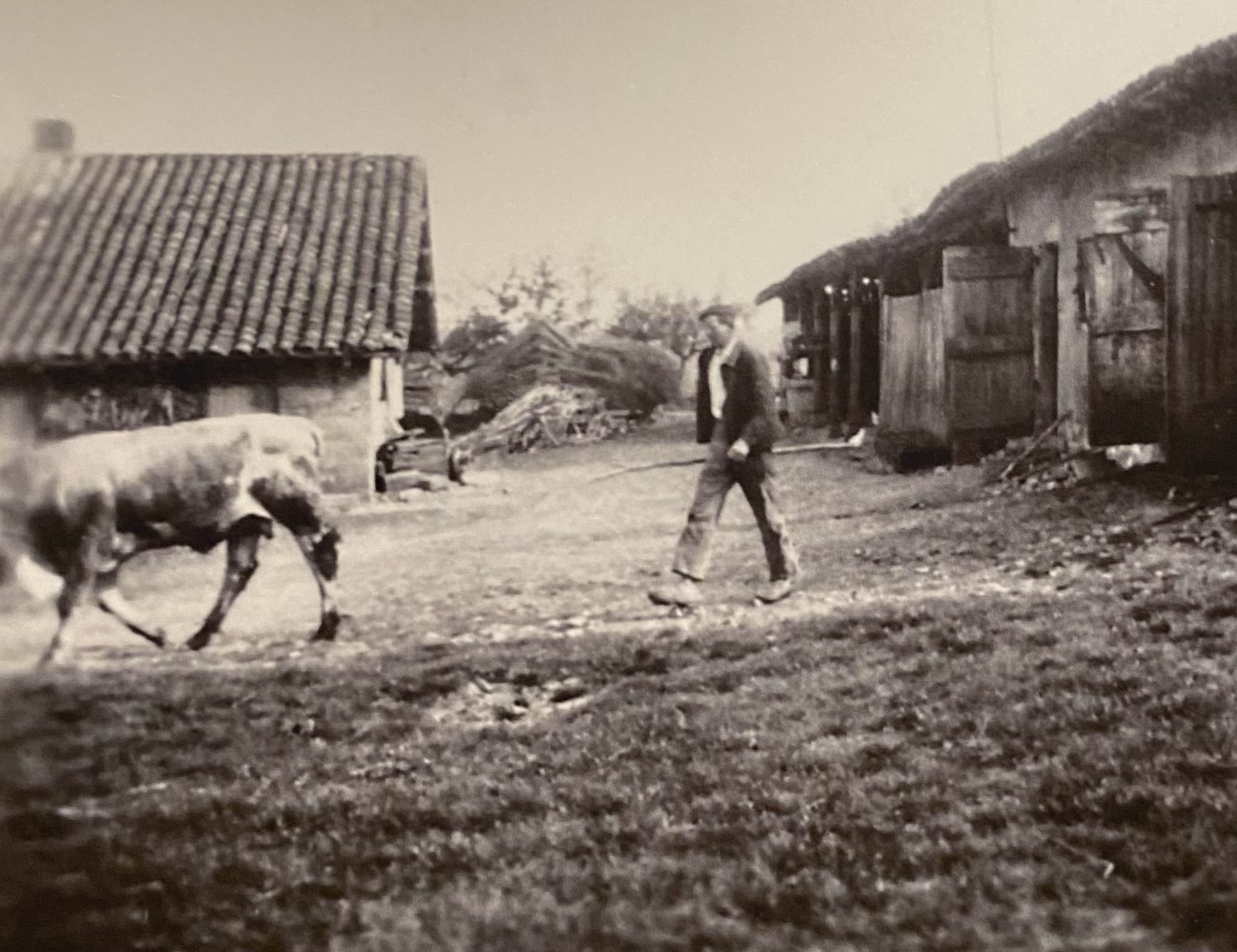Auguste Curt