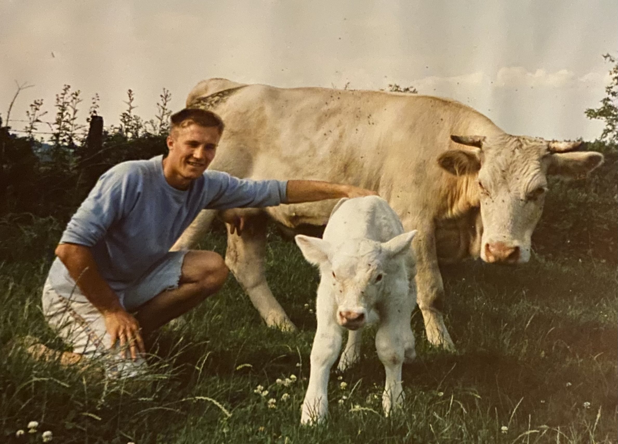 Jérôme et son premier veau charolais